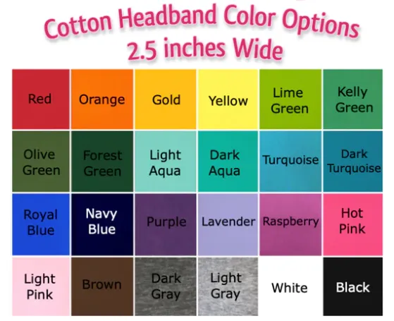 Discovery Ridge Elementary Headbands